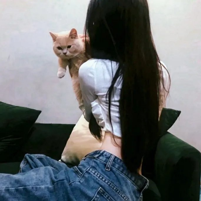 做家务的男人第四季